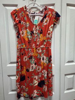 Summer Dresses