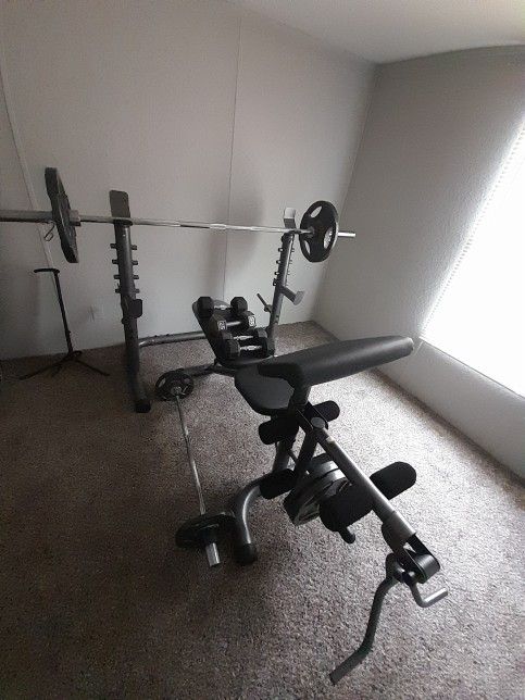 Weight BENCH WORK OUT