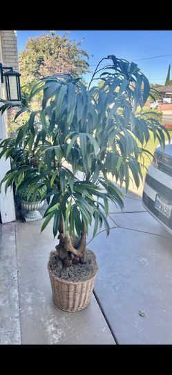 Pre Owned Artificial Tree In Good Condition 65 Inches Tall Over 5 Feet 