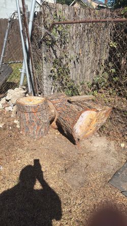 Free firewood, 100%