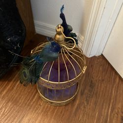 Everything Must Go !! Best Offer