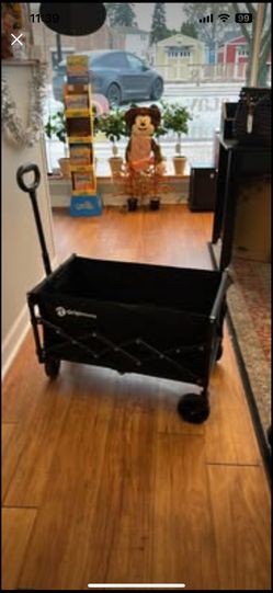 Collapsible Wagon