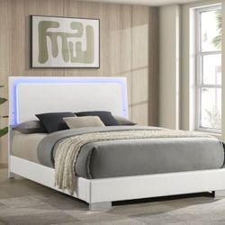 Brand New Glossy Bed Frame / Queen Size / Same Day Delivery 🚚 