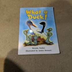 Large Kids Paperback Book