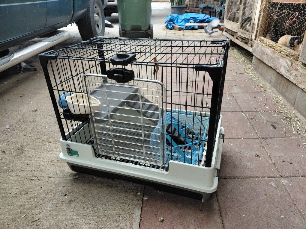 Cage For Hamsters N ginny Pigs