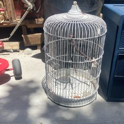 Small Bird Cage