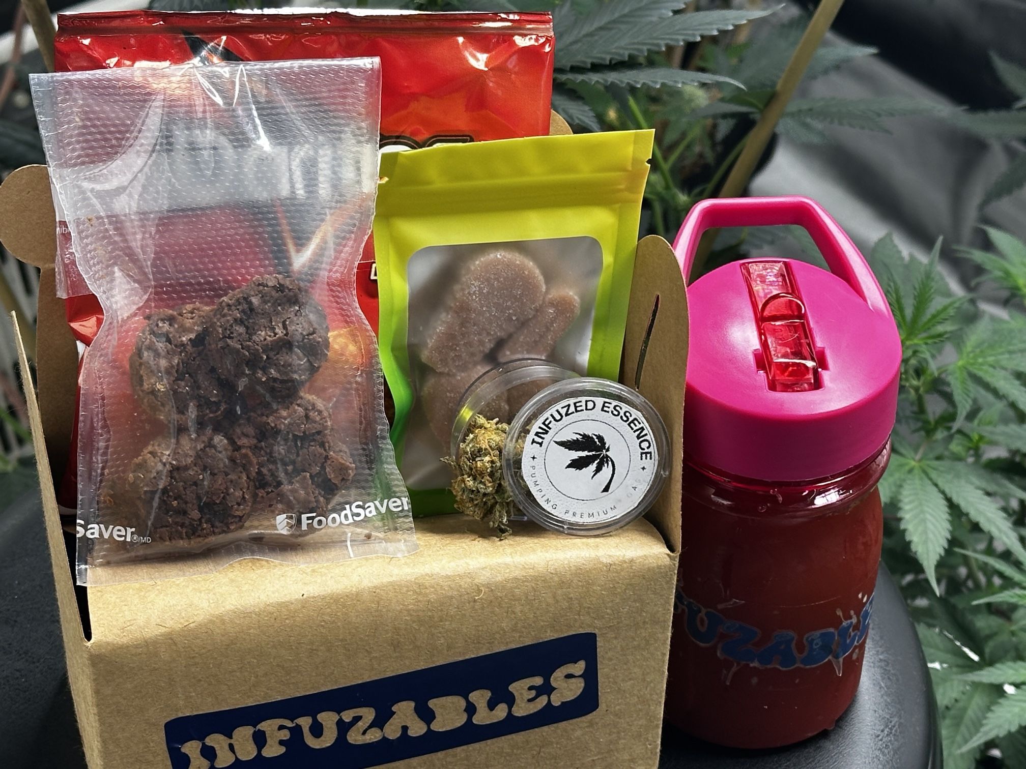 Infuzable Adult Party Boxes