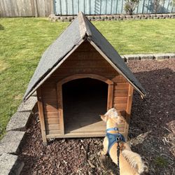 Dog House