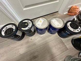 New Paint/ gallon
