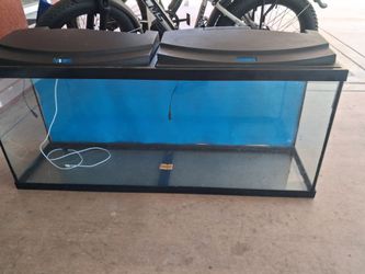 Aquarium Fish / Reptile tank