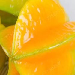 Star Fruit Starter Plant In 2 Gal Pot