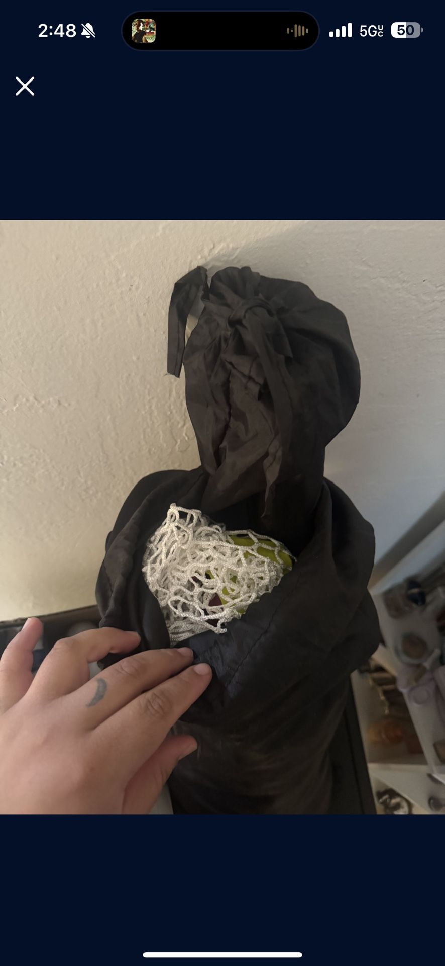 Golf Net