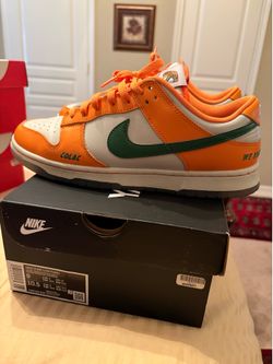 Nike Dunk Florida A&M