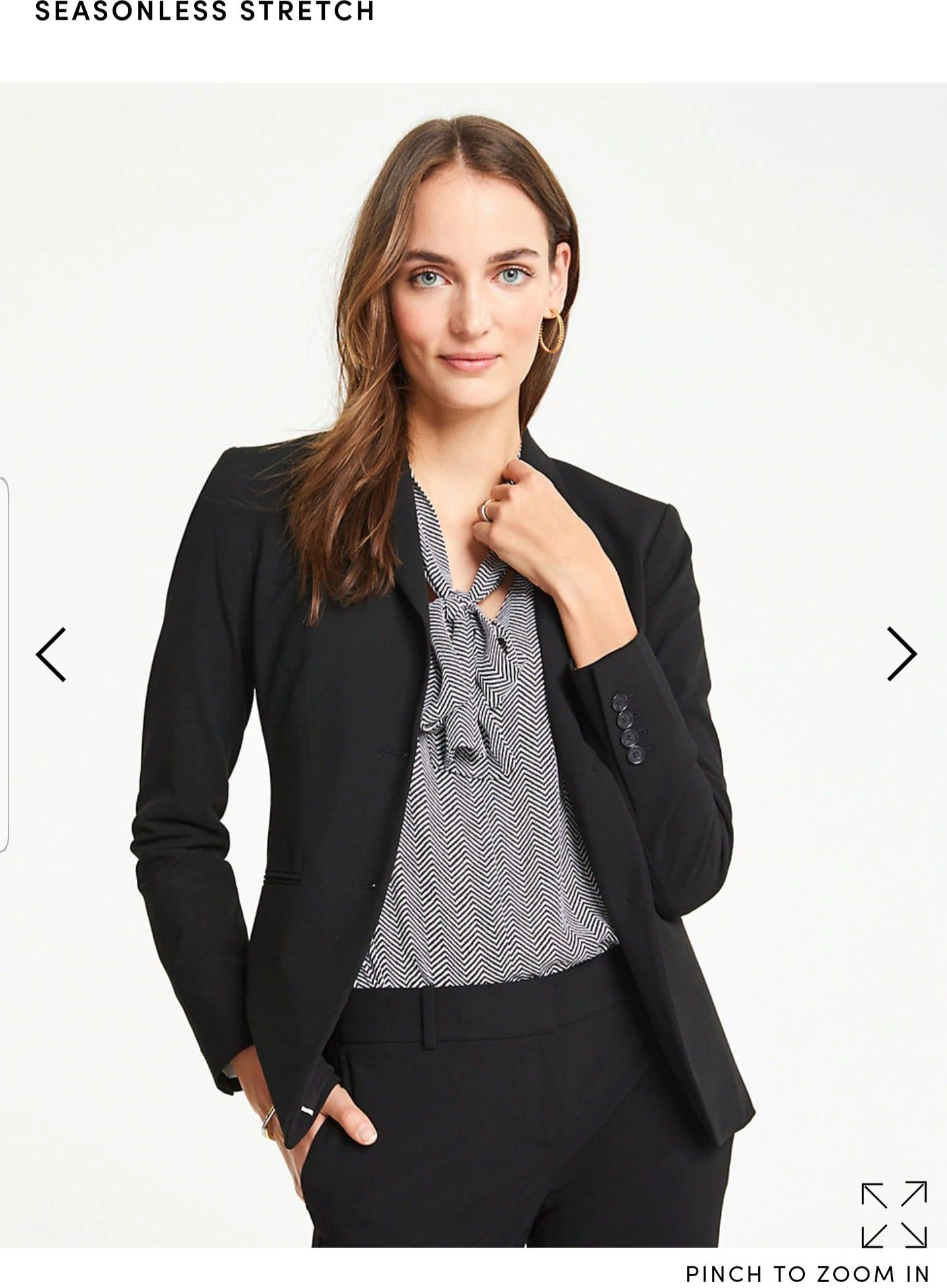 Ann Taylor Full Pant Suit