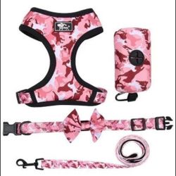 Pet Harness Set