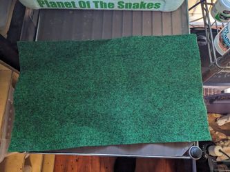 Green 10g Reptile Carpet