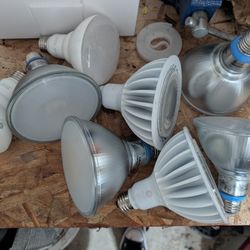 Grow & Flowering LED Bulbs