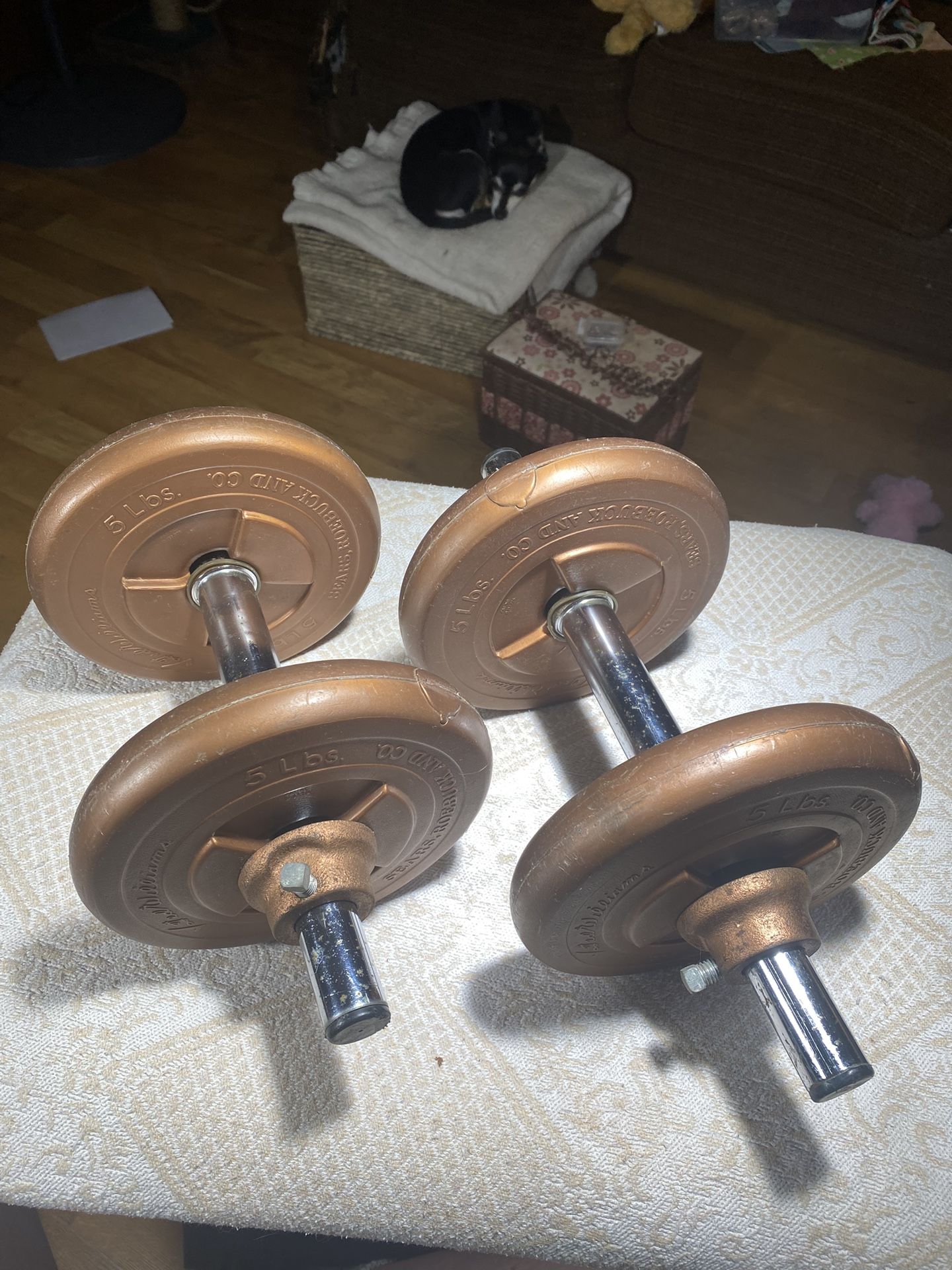 Ted Williams dumbbell’s
