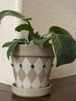 Embellished Planter Pot W Drainage And Attached Saucer