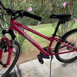 Girls Pink Haro Mountain Bike
