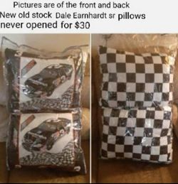 Dale Earnhardt Sr Pillows and Pin