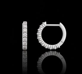 Huggie hoops