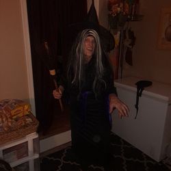 Witch Costume For Halloween 