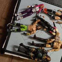 Wrestling Toys