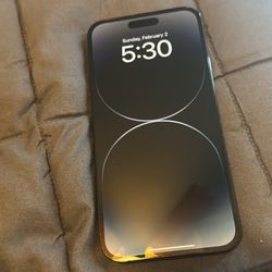 iPhone 14 Pro Max