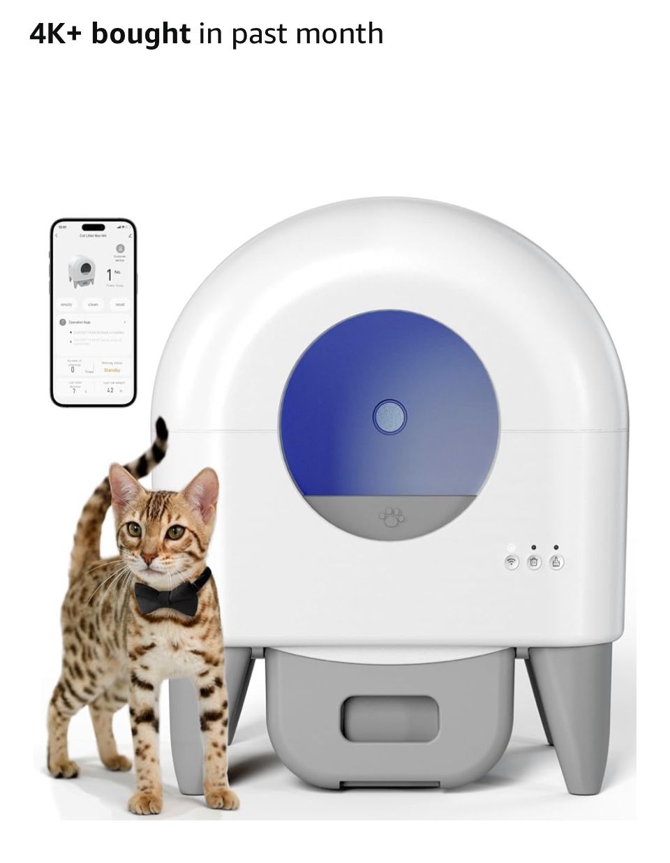 145$ Self Clean Cat Little Bo