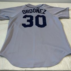 Magglio Ordonez Majestic Detroit Tigers Jersey Gray Men Large Usa Clean Sewn MLB