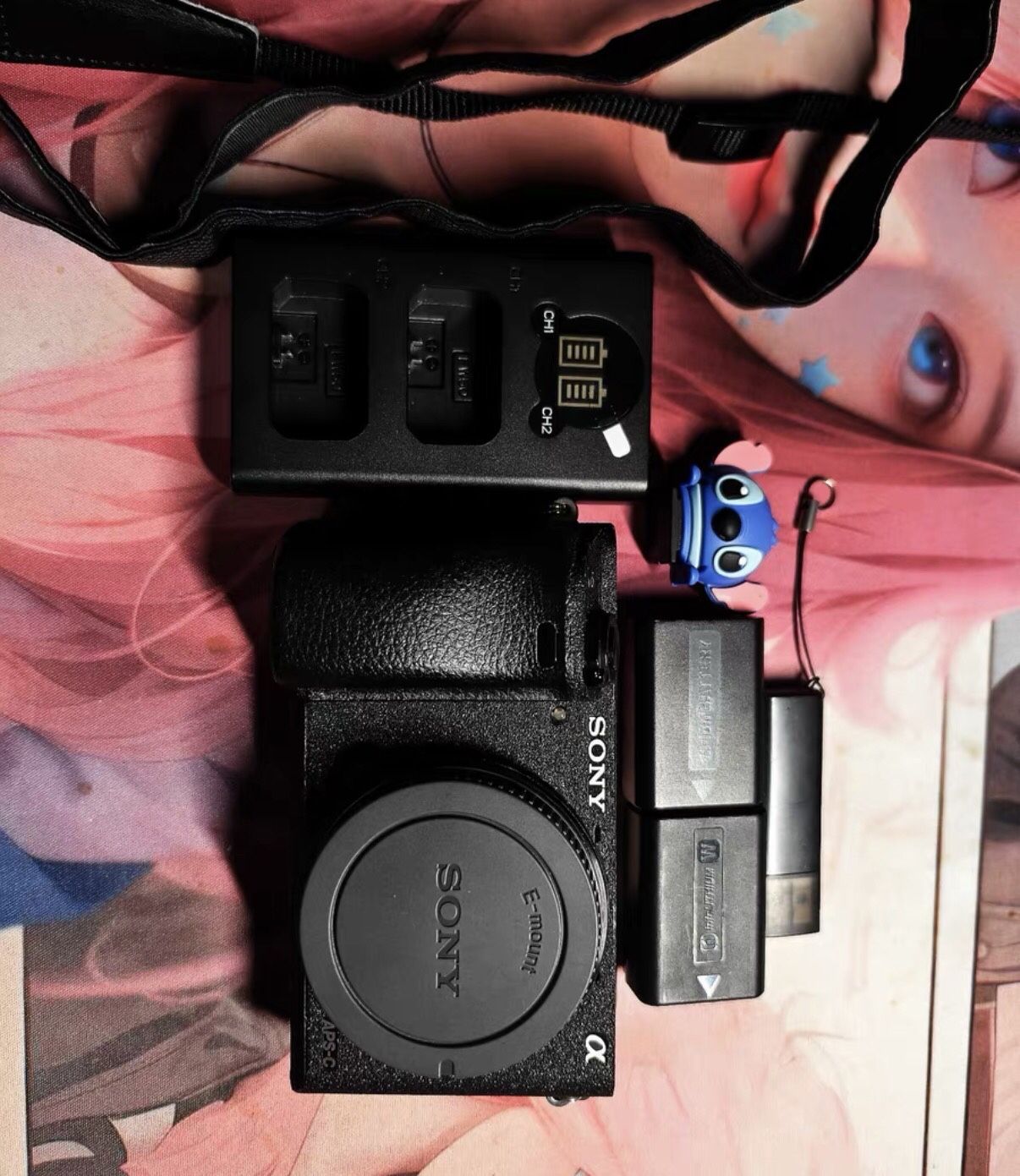 Sony A6000 micro single camera stand-alone