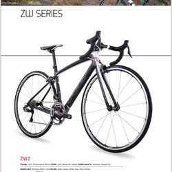Felt ZW2 Series Racing Bike Size Medium