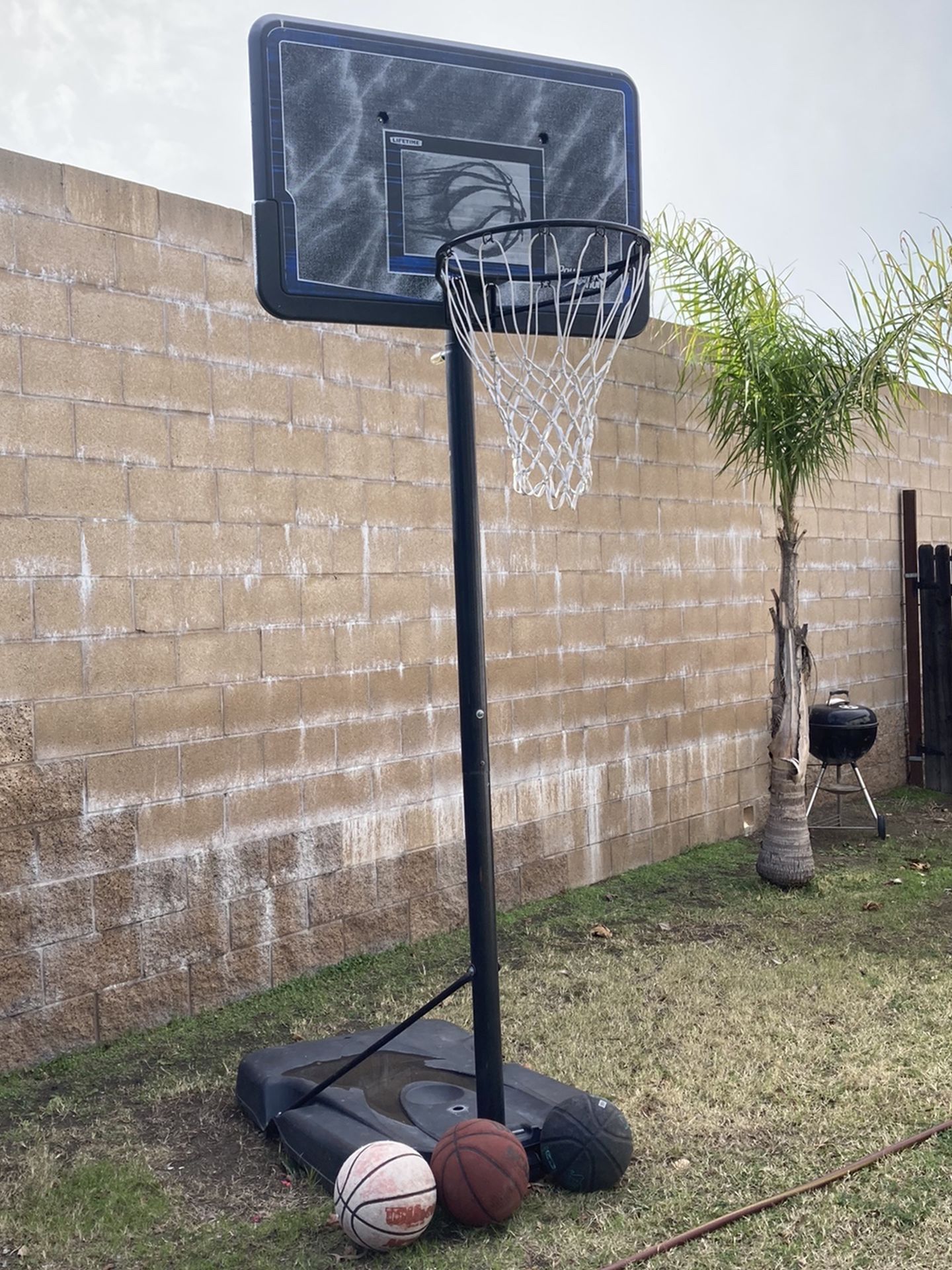 Basketball Hoop