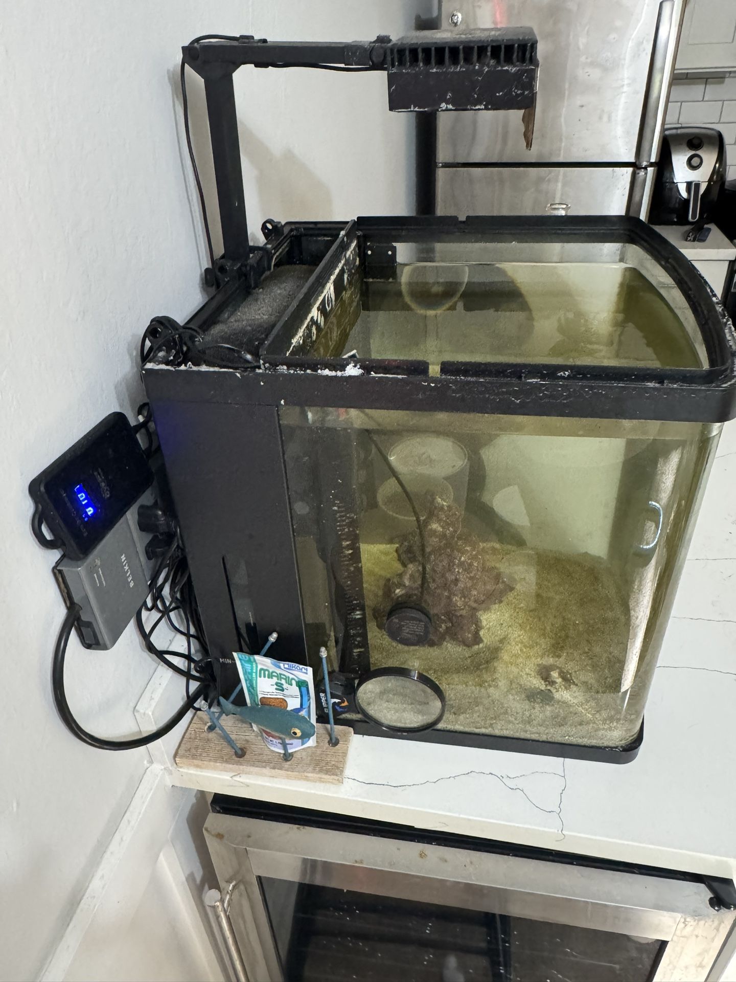 Biocube 32 Gallon AIO Aquarium
