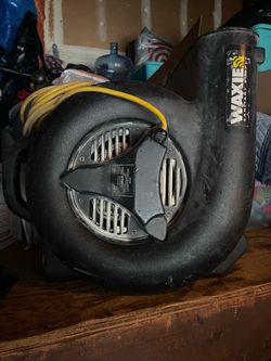 Fan