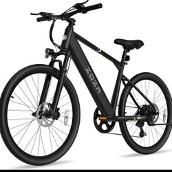 Electric Bike