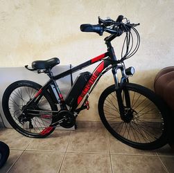 Electric Bike