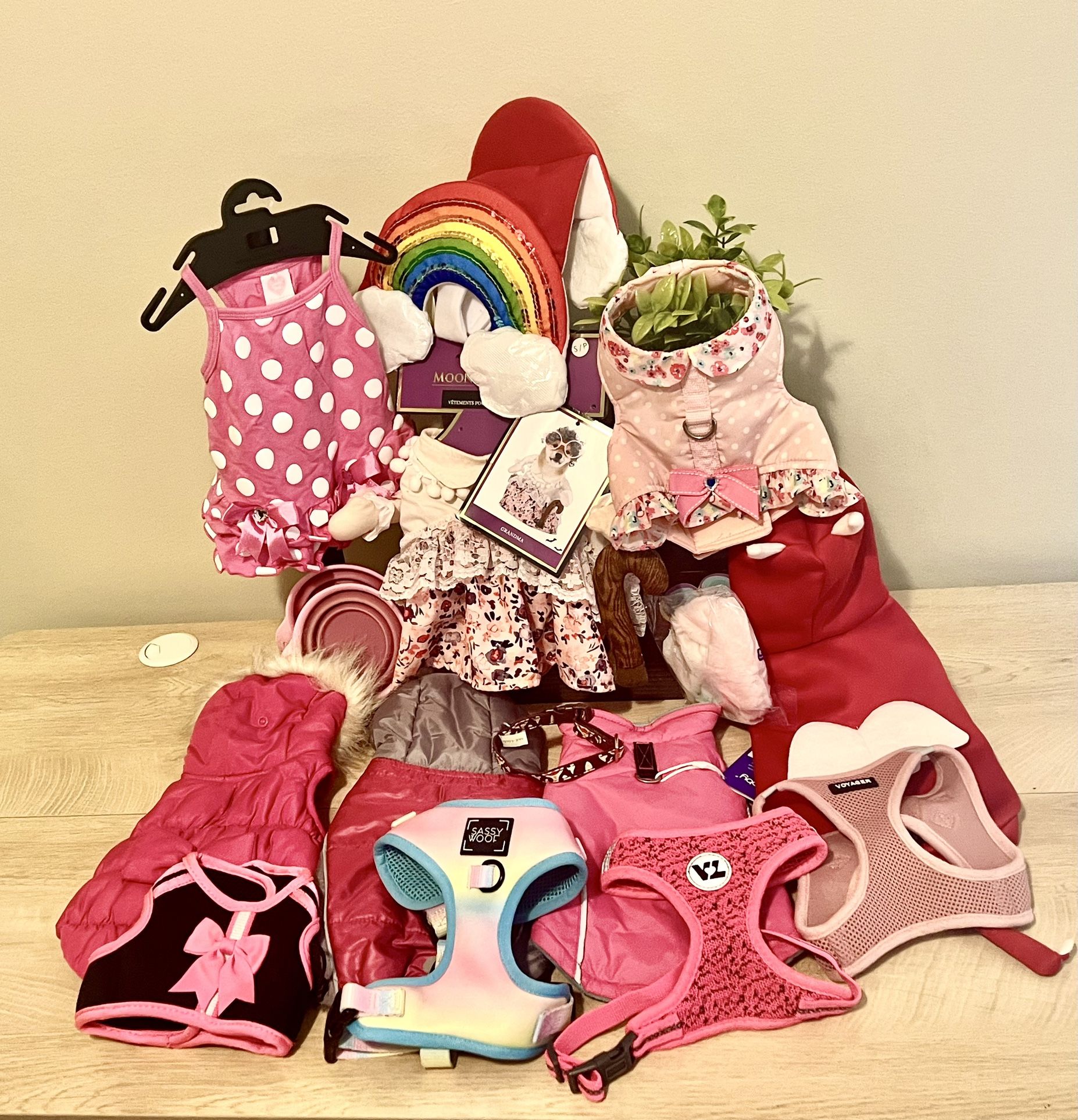 Dog Accessories Small