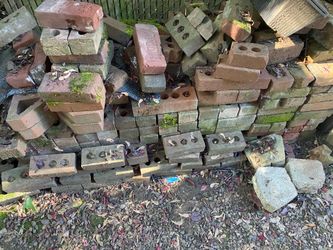 Bricks