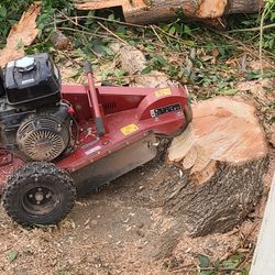 Stump Removal