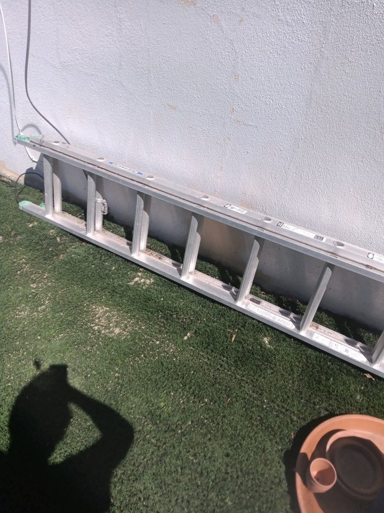 Werner 20 Foot Ladder