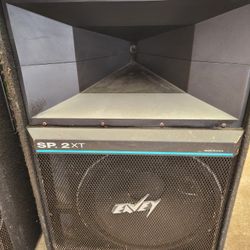 Peavey SP  2XT   PA speakers