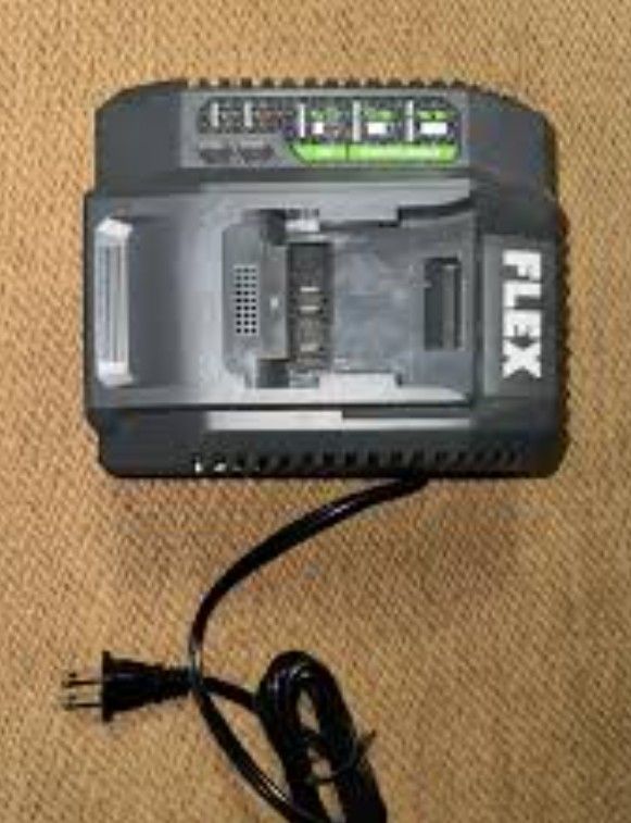 Flex 160 Volt Fast Charger