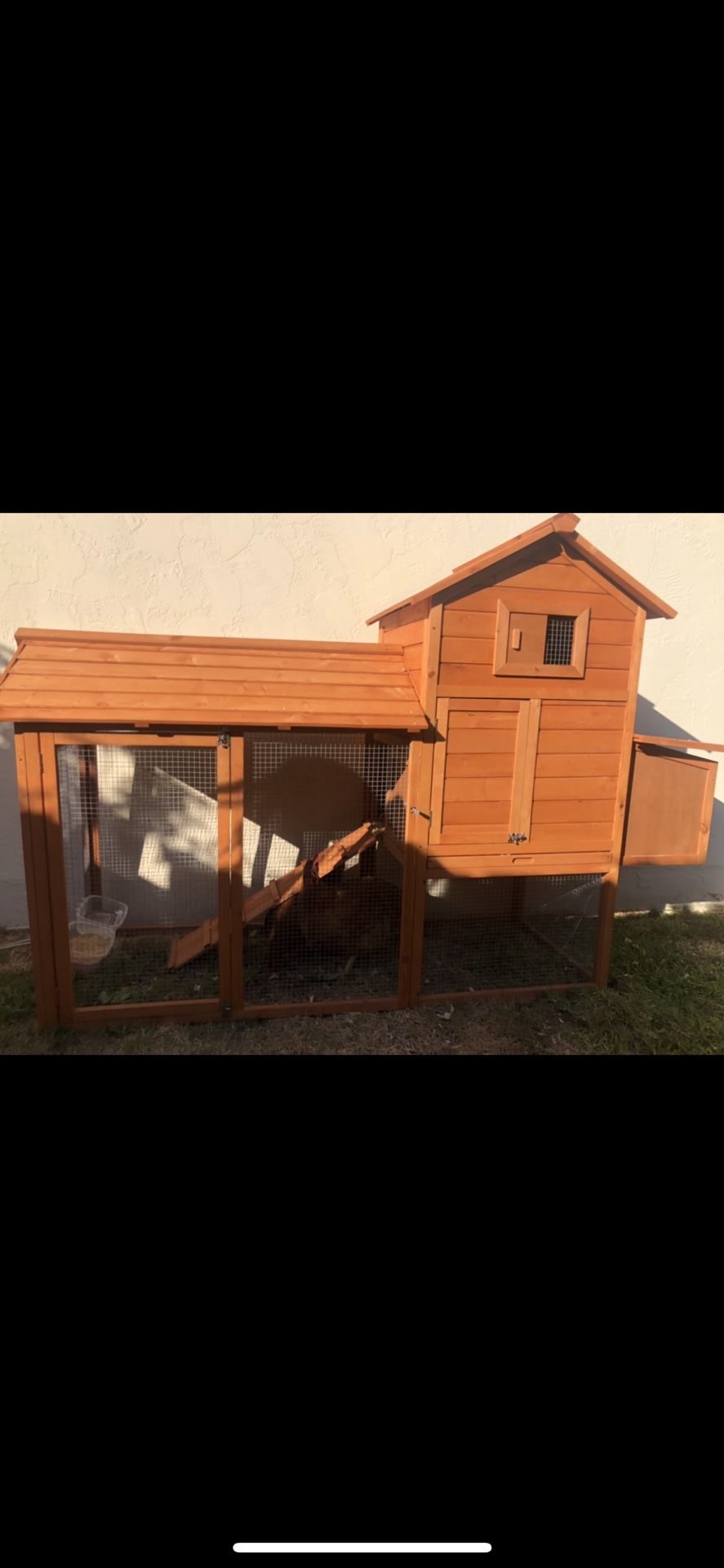 Chicken Coop