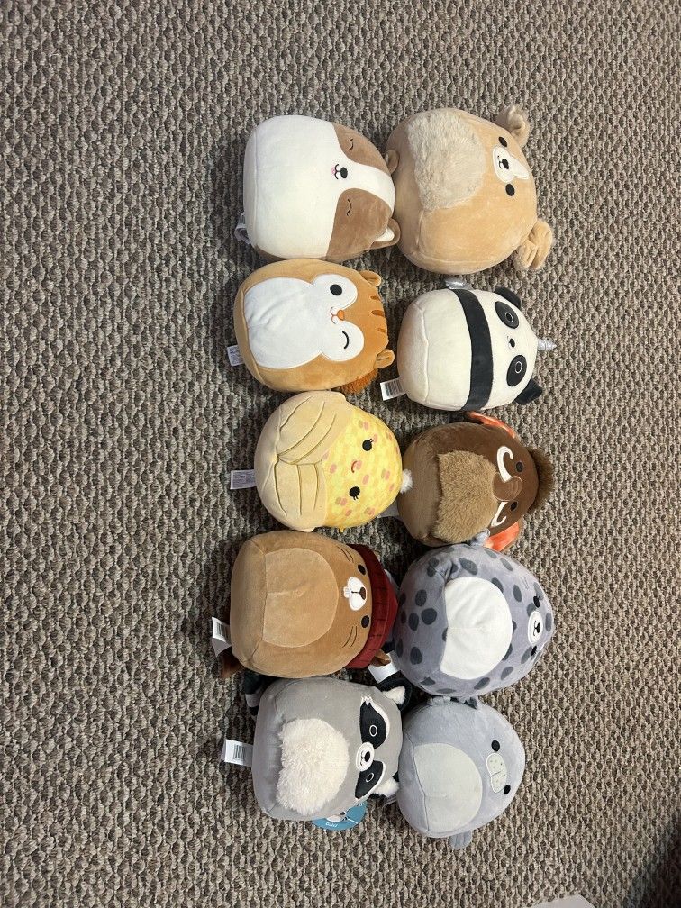 Squishmallow Lot
