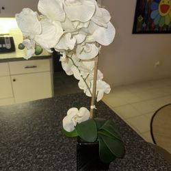 Artificial Orchid Plant 