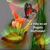 Alesiram