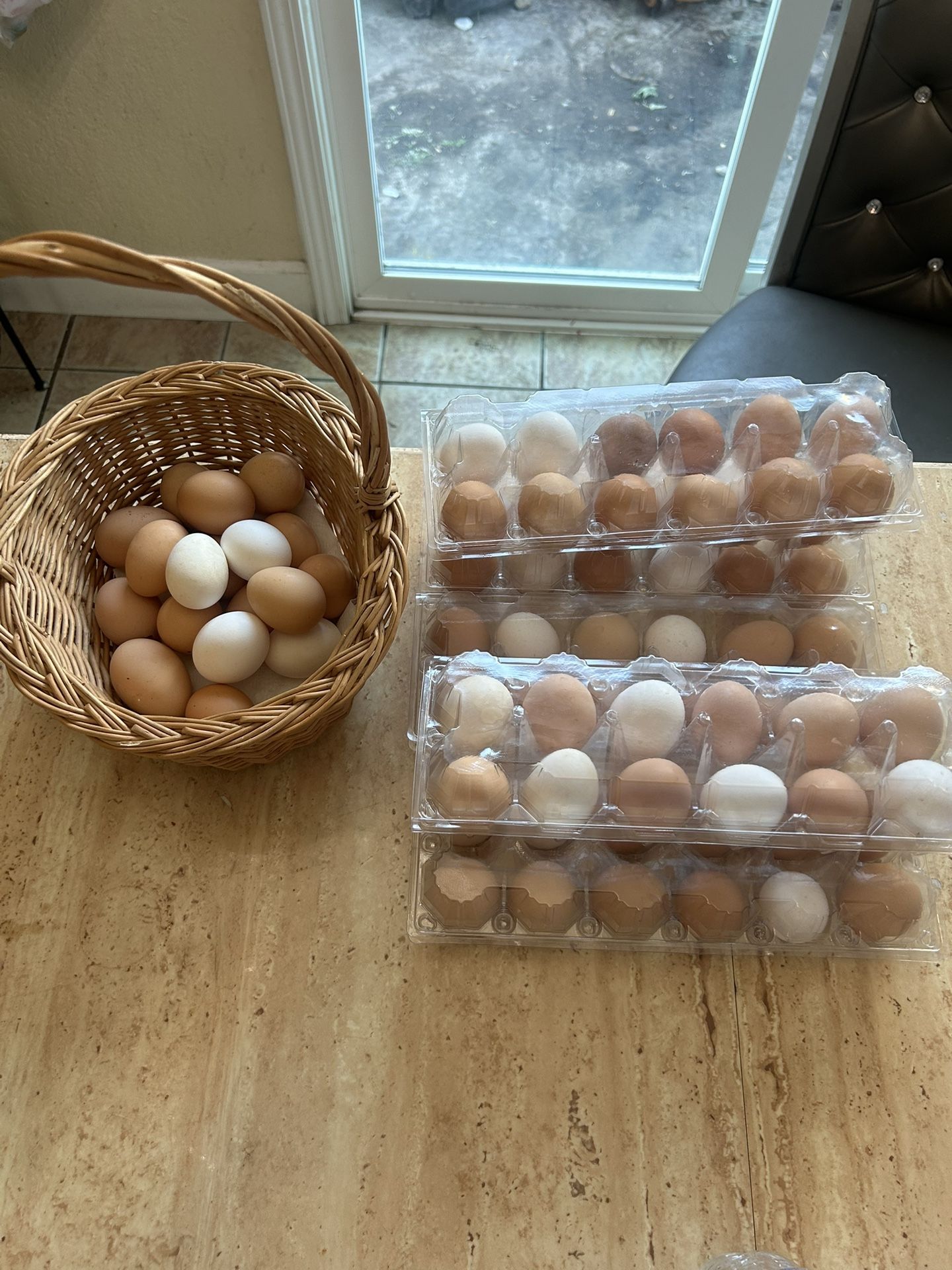 Huevos Orgánicos