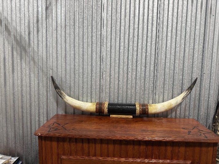 Bull Horns